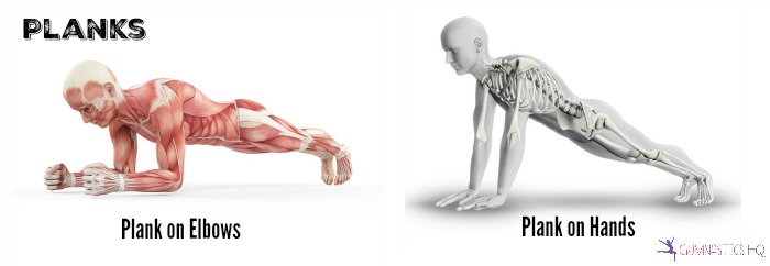 Muscles used in chin ups diagram