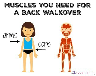 muscles you need for a back walkover