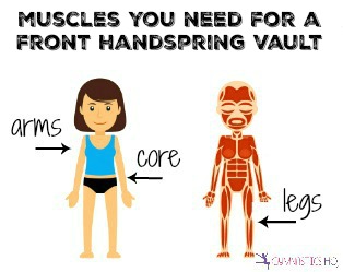 muscles you need for a front handspring vault