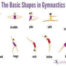 The Basic Shapes in Gymnastics