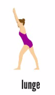lunge is a basic shape in gymnastics