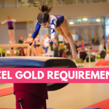 Xcel Gold Requirements