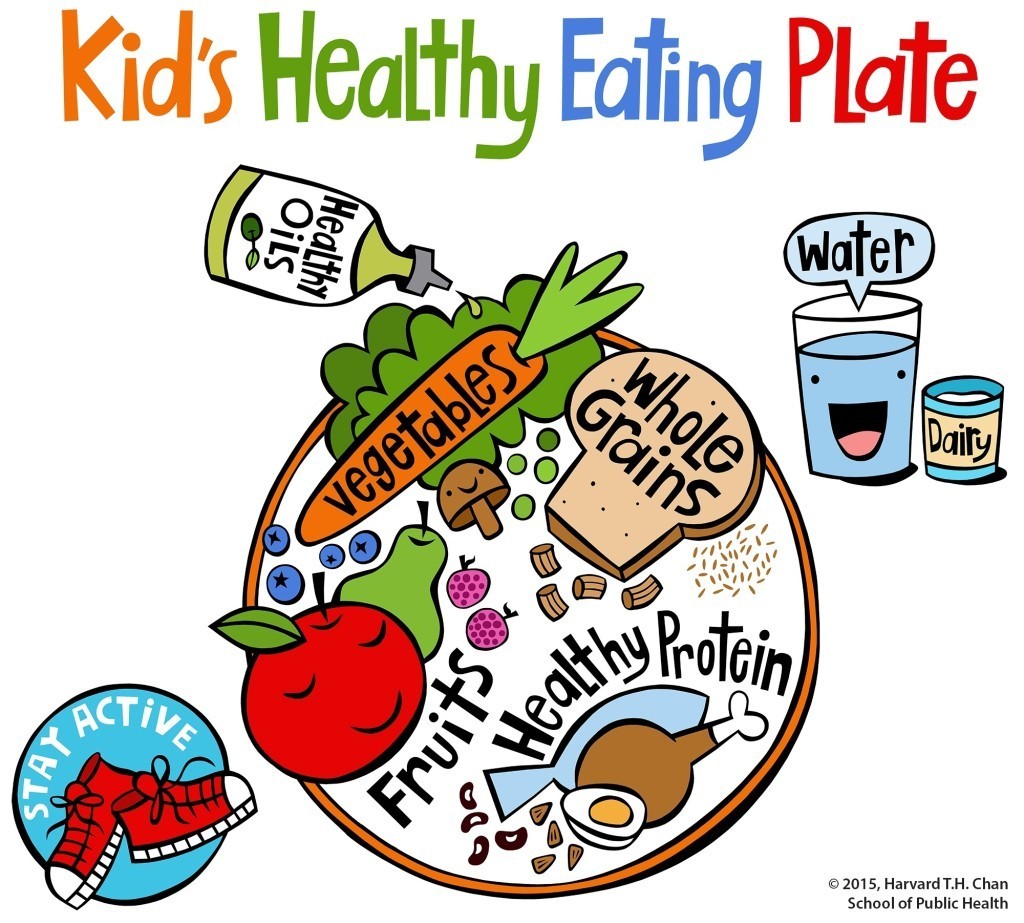  Plato de alimentación saludable para niños