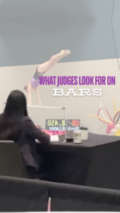 what judges look for on bars