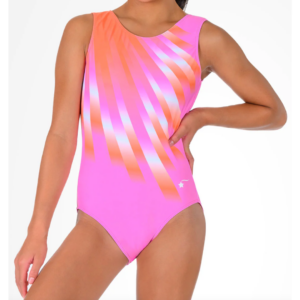 stretch your limits destira leotard