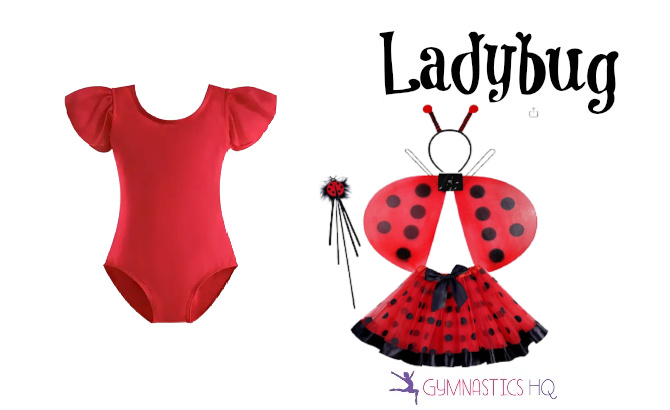 ladybug-costume (1)